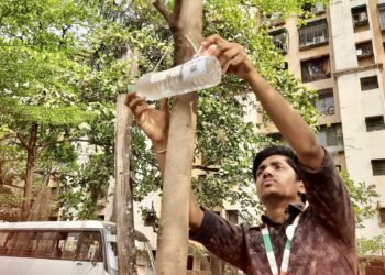 तहानलेल्या पक्षांसाठी संस्थेचा कौतूकास्पद उपक्रम