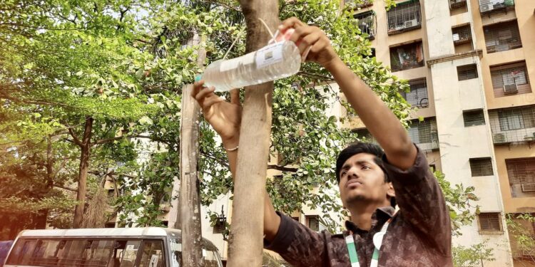 तहानलेल्या पक्षांसाठी संस्थेचा कौतूकास्पद उपक्रम