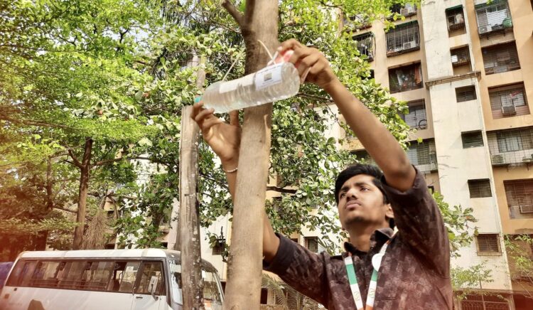 तहानलेल्या पक्षांसाठी संस्थेचा कौतूकास्पद उपक्रम